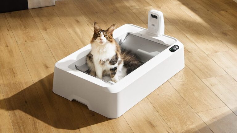 PETKIT-Purobot-Crystal-Duo-01-min.jpg
