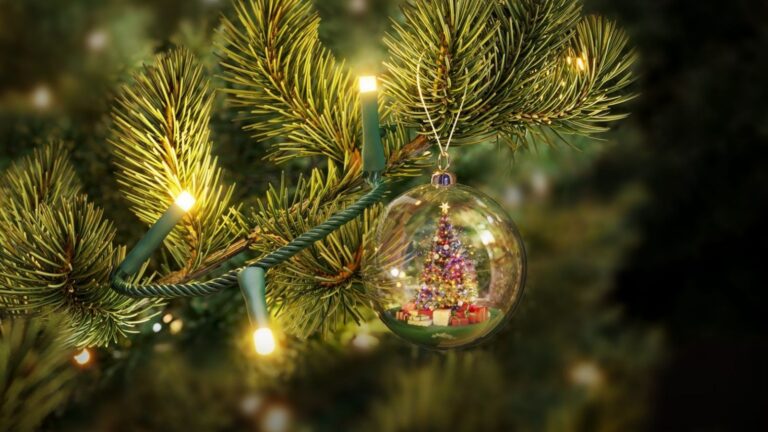 Govee-Christmas-Sparkle-String-Lights-02.jpg