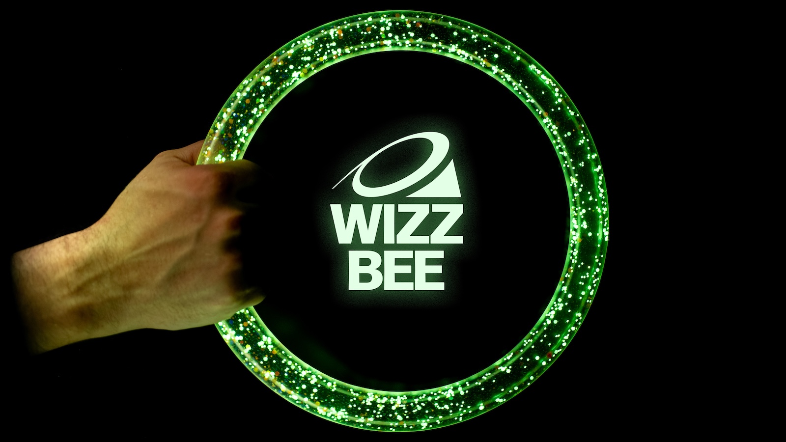 WIZZBEE-Throwing-Disc-02.jpg