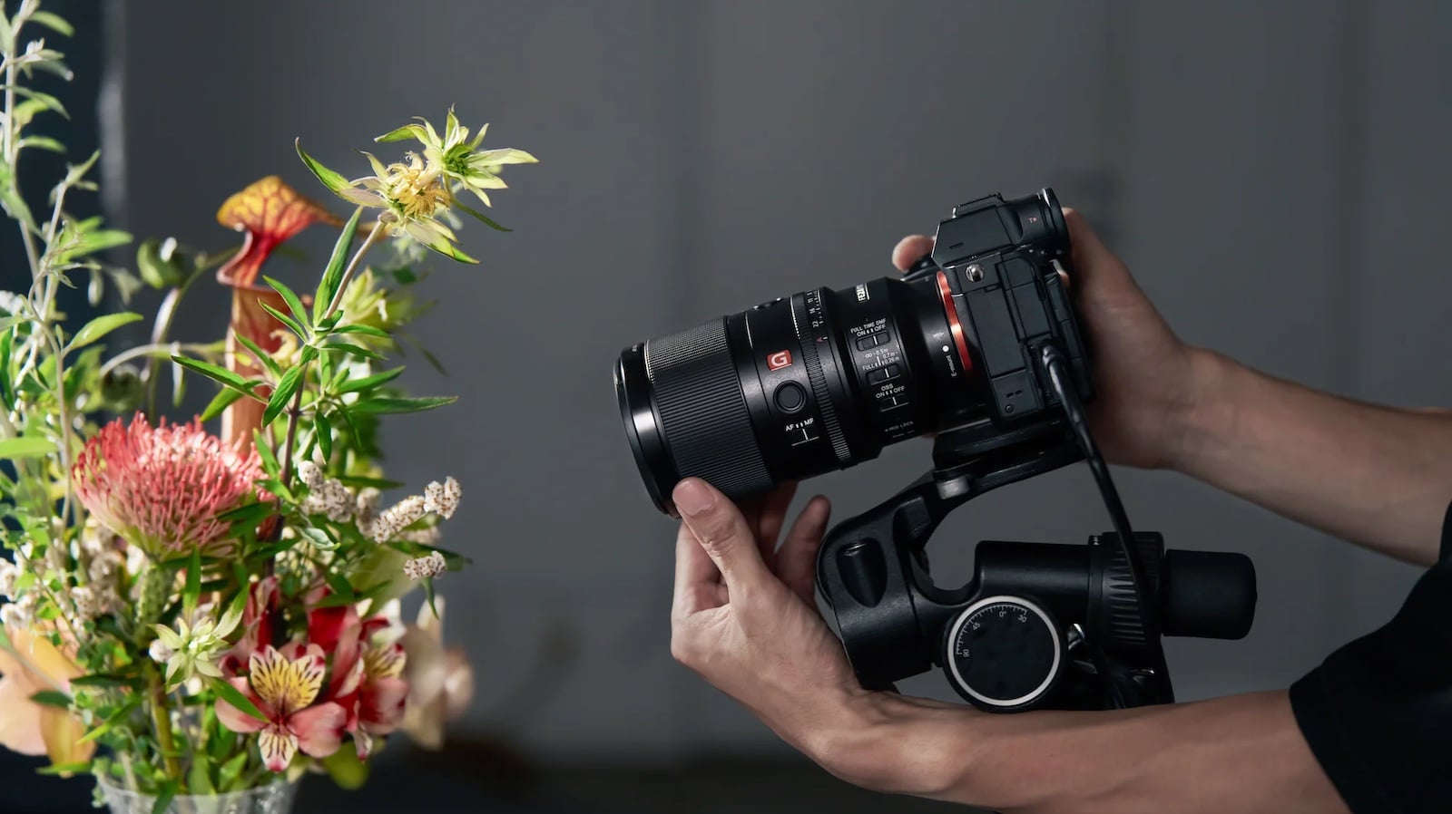 Sony-FE-100mm-f-2.8-Macro-GM-Lens-Sony-E-02.jpg