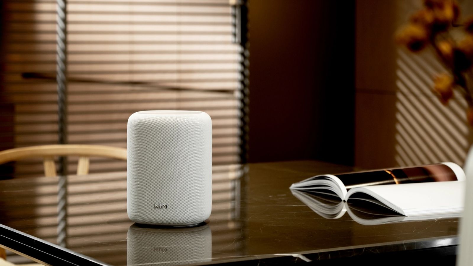 WiiM-Sound-Lite-04.jpg