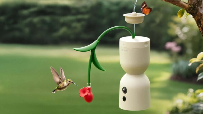 Birdfy-Hum-Bloom-Smart-Bird-Feeder-03.jpeg