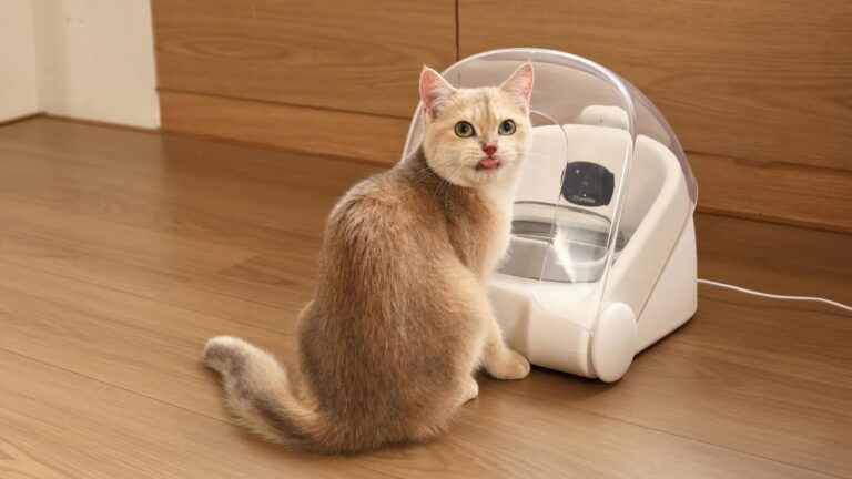 Cheerble-Match-G1-Smart-Pet-Feeder-01.jpeg