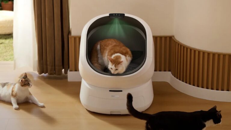 Luma-Smart-Litter-Box-01.jpg
