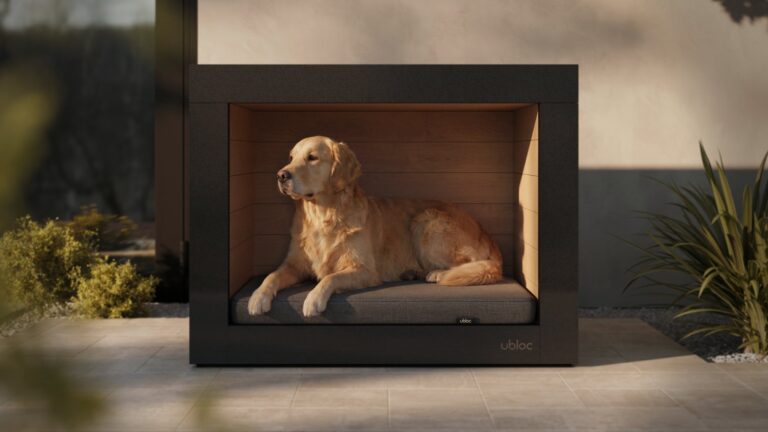 shelter-dog-house-01.jpg