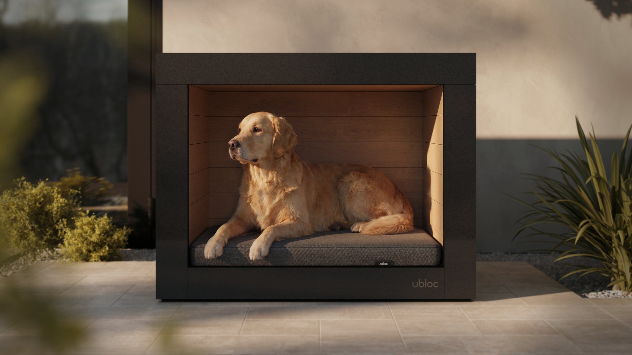 shelter-dog-house-01.jpg